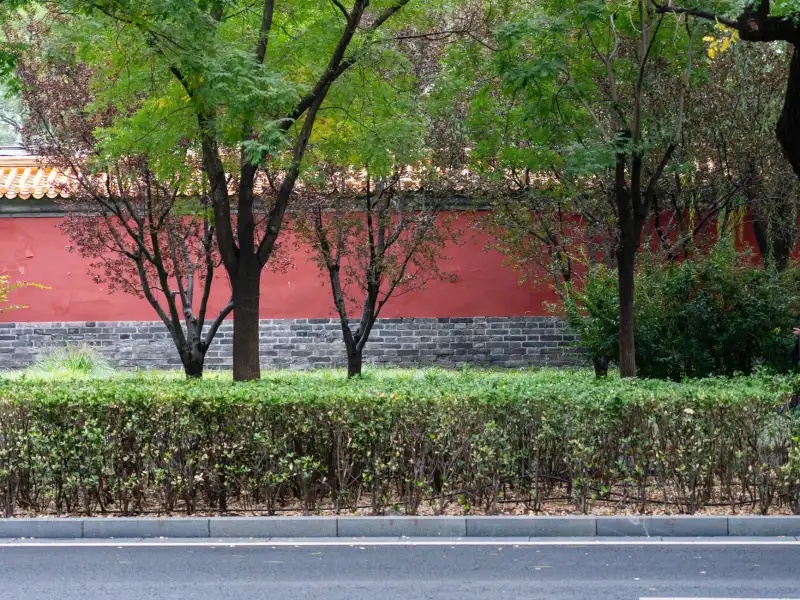 保理软件与风控引擎协同工作下的风险评估模型解析