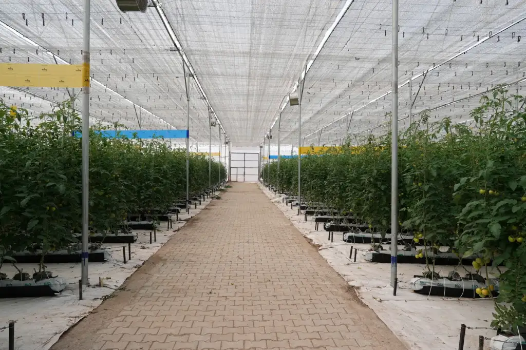 供应链金融系统软件光盘的选型要点与实施路径解析