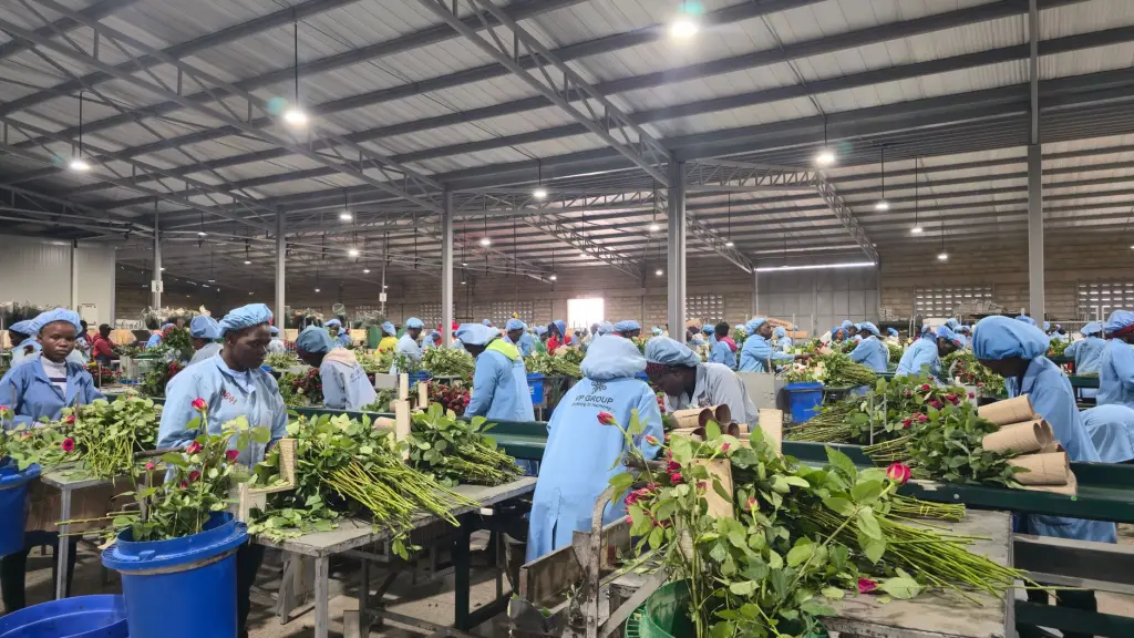 供应链金融系统软件光盘与保理软件一体化部署方案解析