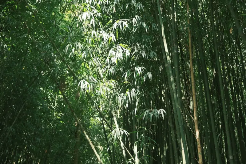 供应链金融系统软件光盘部署与SaaS模式在数据安全层面的差异解析